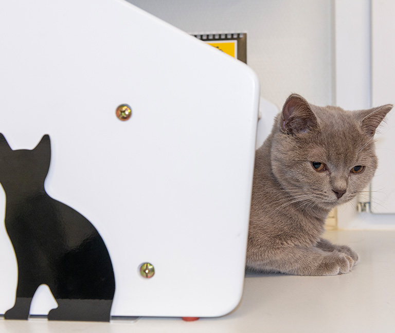 Les avantages du réseau VetJordils