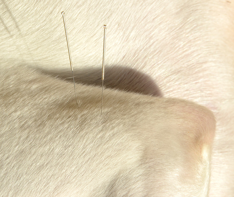 Médecine alternative