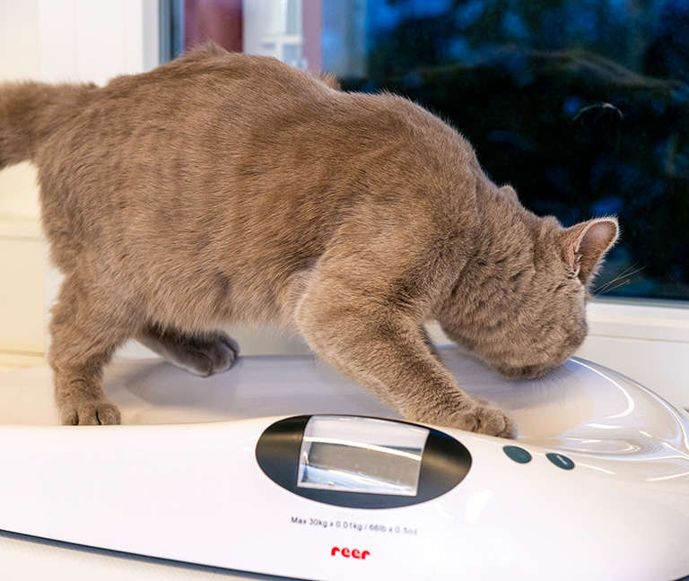 Nutrition et suivi alimentaire