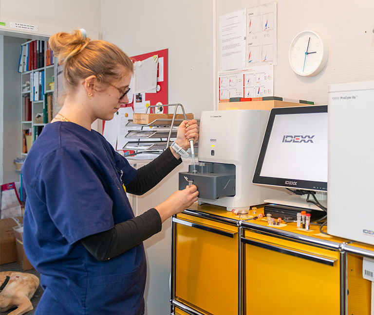 Oncologie v&eacute;t&eacute;rinaire