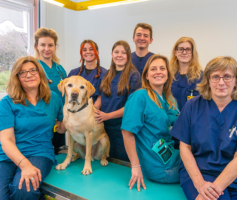 Pourquoi rejoindre notre &eacute;quipe ?