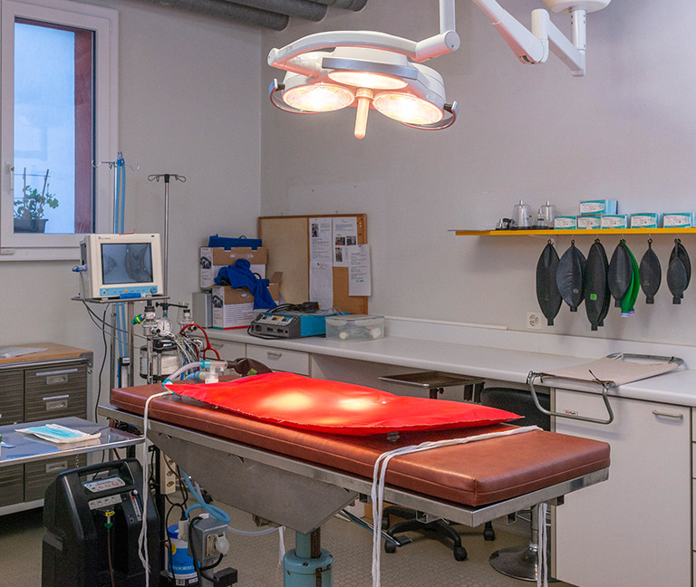 Chirurgie-VetJordils